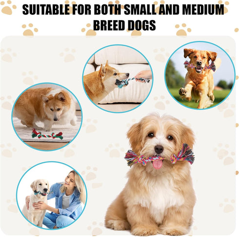 60 Pcs Multi Color Knot Rope Dog Chew Toys | Puppy Tug of War Toy for Small and Medium Dogs