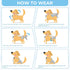 MGY 3 Pack Washable Female Dog Diapers with Suspender - Reusable Super Absorbent & Leakproof Fixed Doggie Diapers