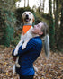 Reflective Dog Bandana Safety Scarf, 2 Pack Orange Dog Reflective Gear