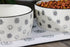 Pearhead Dog Faces Pet Bowl - Ceramic Dog Water and Food Dish, Microwave & Dishwasher Safe, Holds 9 Cups