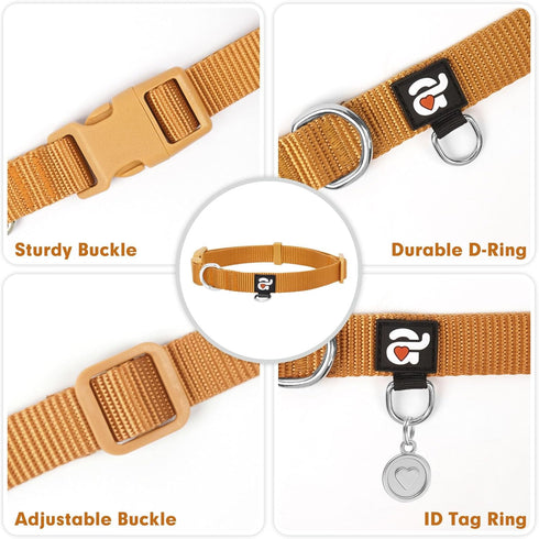 azuza Nylon Fall Dog Collar and Leash Set, Strong & Durable Basic Style Leash for Small Dogs, Latte Brown, S