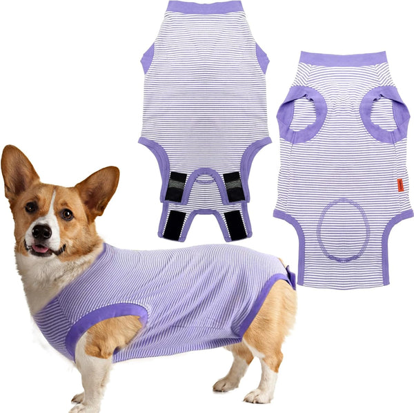 Dog Surgery Recovery Suit, Spay Neuter Onesie for Male Female Dogs, Cone Alternative, Purple, Medium