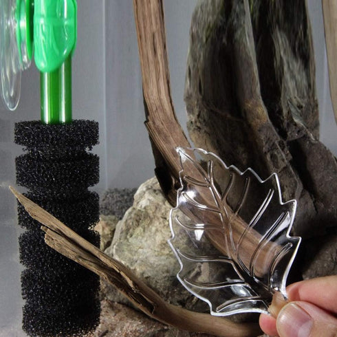 Shrimp Feeding Dish, Leaf Shaped Bowl