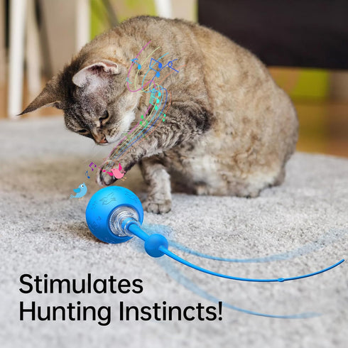 morhandisn Interactive Cat & Dog Toys for Indoor Pets, Automatic Electric Self Rotating Ball with Chirping Sound