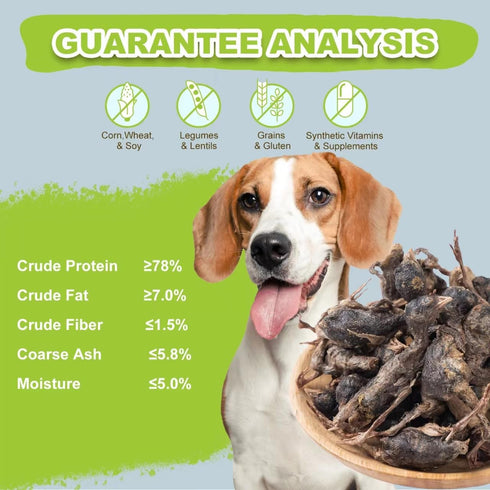 Freeze Dried Dogs Cats Treats, Little Quail Natural Dog Treats, Cat Delicious Snacks, Healthy Easy Digestion Pet Food