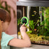 Fish Tank Thermometer, PAIZOO LED Digital Accurate Temperature Gauge for Aquatic Pets, Green
