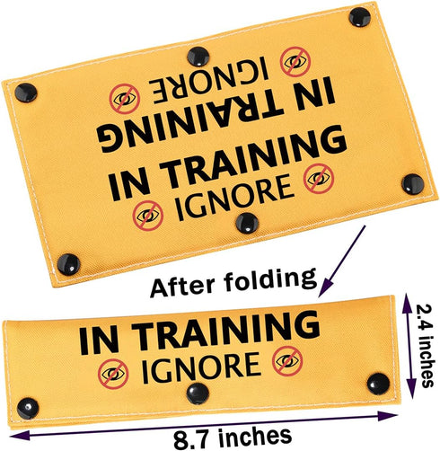 in Training Ignore Dog Leash Sleeve Dot Not Pet Working Dog Leash Sleeve Service Dog Leash Wrap (in Training Ignore Sleeve)
