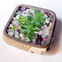 Aquarium Gravel, 0.44lb Fluorite Decorative Rocks, Crystal Chips for Crafts, Vases, and Aquarium Filler