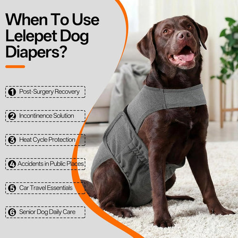Lelepet Dog Diapers Female Washable, Reusable Puppy Doggie Pet Panties for Dogs in Heat, Adjustable Dog Diapers