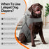 Lelepet Dog Diapers Female Washable, Reusable Puppy Doggie Pet Panties for Dogs in Heat, Adjustable Dog Diapers