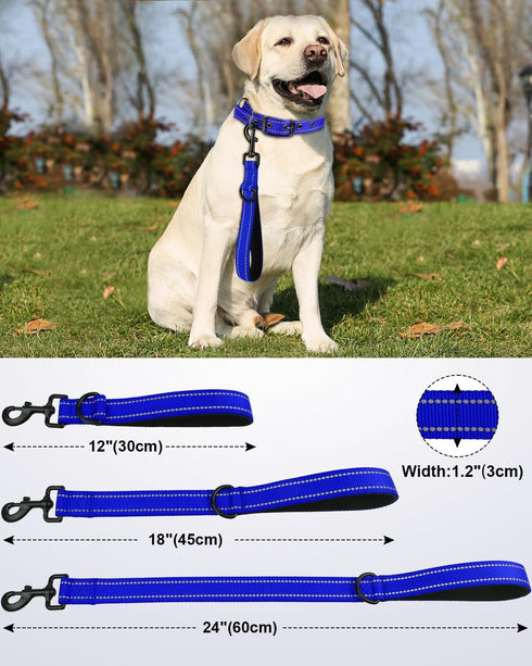 Joytale Strong Short Dog Leash 18 Inch, 1.2 Inch Wide, Heavy Duty Traffic Leash for Medium Large Dogs