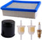 Podoy DS Golf Cart Tune Up Kit for 1992-2004 Club Car DS 4-Cycle Golf Cart
