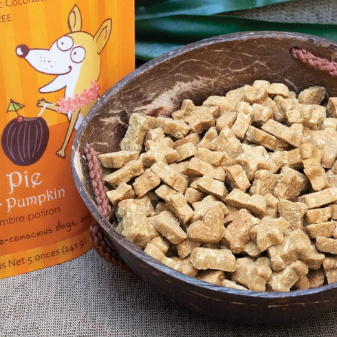 Cocotherapy Coco-Charms Training Treats - Pumpkin Pie, 5 Oz Pouch