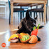 (5 Set, P.L.A.Y. Cute Plush Dog Toys - Barking Brunch Food Themed Durable Squeaker Rope Chew Toy, Great for Puppies