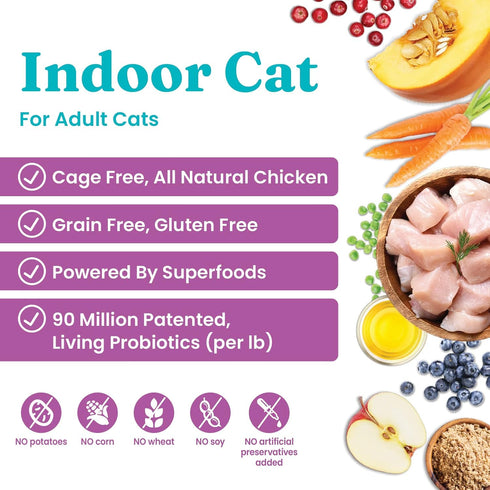 Solid Gold Indoor Dry Cat Food - Let's Stay in Cat Food Dry Kibble for Indoor Cats - Hairball & Sensitive Stomach - Grain & Gluten Free - Probiotics & Fiber for Digestive Health - Chicken - 3lb