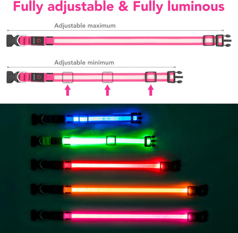 LED Dog Collar, Adjustable USB Rechargeable Light Up Collar, Super Bright Glowing Safety Collars for Dogs (Medium, Pink)