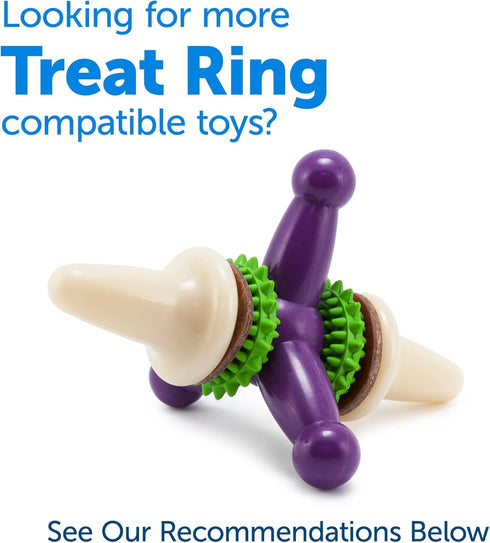 PetSafe Dog Treat Ring Variety Pack for Busy Buddy Toys, 60 Refills, 2 Tasty Flavors, Large