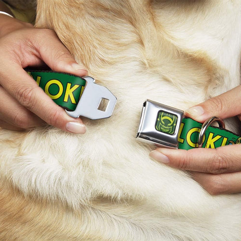 Buckle-Down Dog Collar, Seatbelt Buckle Kawaii Loki Standing Pose Text Green Yellow, 1.5" Wide, Fits 13-18" Neck, Small