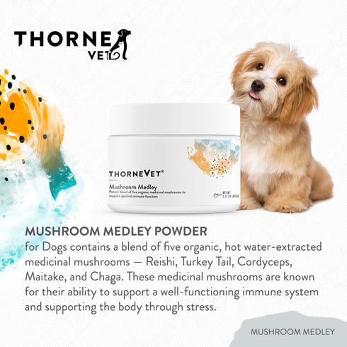 ThorneVet Mushroom Medley for Dogs - 120 Scoops with Reishi, Turkey Tail, Cordyceps, Maitake, and Chaga Mushrooms for