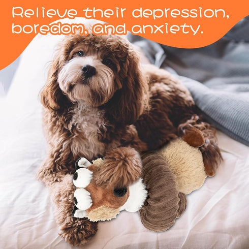 JMZDS&JL Squeaky Dog Toys, Plush Stuffed Crinkle Chew Toys for Small Medium Large Dogs, Puppy Teething Toys