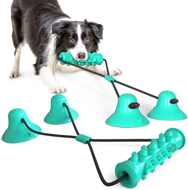 Guardians Dog Chew Toy with Double Suction Cup for Aggressive Chewers - Dog Toothbrush Chew Toy for Small Medium Dogs
