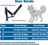 Dog Head Collar, Fabric Padded Head Collar for Dogs to Prevent Pulling, Head Leash for Small Medium Large Dogs Walking(L,Lake Blue)