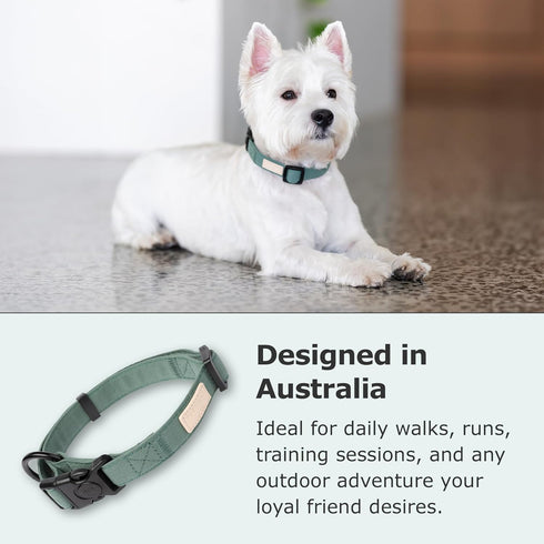 FuzzYard Life Stylish Dog Collars | Size M | Premium Cotton Design in Myrtle Green for Everyday Wear