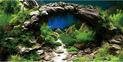 AWERT 72x24 inches Arch Stone Aquarium Background, River Bed & Lake Vinyl Background for Fish Tank