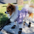 Jecikelon Winter Dog Hoodie Sweatshirts with Pockets, Warm Clothes for Small Dogs Chihuahua (Purple, XX-Small)