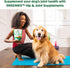GREENIES Supplements, Hip & Joint Supplements for Dogs with Glucosamine and Chondroitin, 30 Count Chicken-Flavor Soft