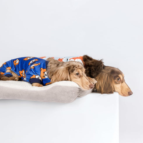 Fitwarm Cute Bear Dog Pajamas | Fleece Pet Onesie for Small Dogs, Royal Blue & Brown, XXL