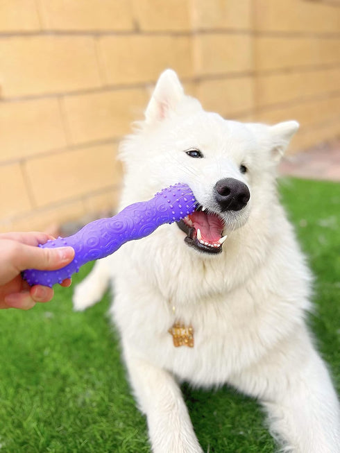 ToothBuddy Dental Chew Dog Bone - Chew Stick for Safe Pet Play, Made from Textured & Non-Toxic Silicone for Soft and