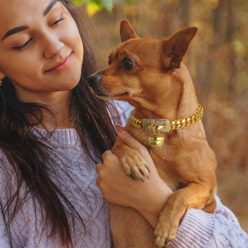 18K Gold Cat Dog Collar Kitten Puppy Wide Stainless Steel Choker, Chew Proof Cuban Link 10mm Chain with Gold Bell
