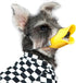 NACOCO Anti-Bite Duck Mouth Shape Dog Covers, Bite-Proof Muzzle Masks Set (Yellow, S)