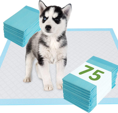 24"x24" (75 Count), Housetraining Deep Dear Pet Training and Puppy Pads Super Absorbent Pee Pads for Dogs, Leak-Proof