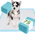 24"x24" (75 Count), Housetraining Deep Dear Pet Training and Puppy Pads Super Absorbent Pee Pads for Dogs, Leak-Proof