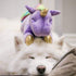 FOUFIT 85601 Unicorn Plush Toy for Dogs, 6" Pink