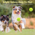 20 Pack 2.5 inch 2.5inch) Magicorange Dog Tennis Balls, Floatable Squeaky Tennis Balls for Fetch Exercise, Natural