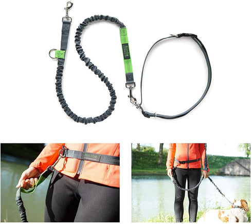 Mighty Paw Hands Free Dog Leash | Bungee Waist Leash for Dog Walking, Pet Waist Belt (36" - 48") - Gray, Up to 150 lbs