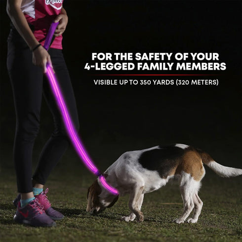 Illumiseen LED Light Up Dog Leash, Ultra High Visibility, USB Rechargeable, 3 Lighting Modes, Padded Handle
