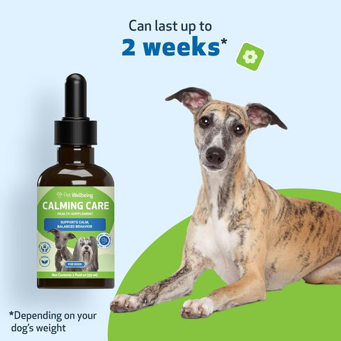 Pet Wellbeing Calming Care for Dogs - Vet-Formulated Liquid Supplement 2 oz - Ashwagandha & Holy Basil Blend