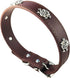New Skull Dog Collar, Skeleton Design Pet Collar for Dogs and Cats, Brown Medium, Fits Neck Girth 11.5" to 13.5"