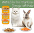 4 Pcs Wide Whisker Friendly Cat Dishes Set, 6.7" Stainless Steel Shallow Food Bowls for Indoor Kitten Feeding, 13 OZ