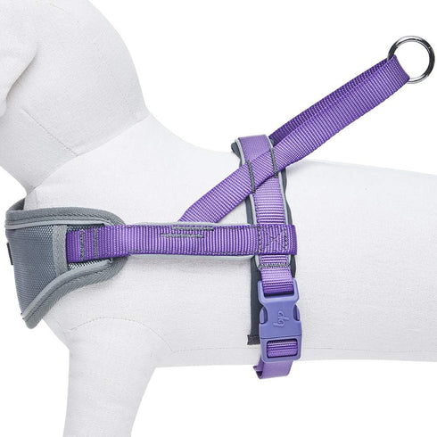 Blueberry Pet Purple Dog Harness, Medium Size, Reflective Nylon Vest, Adjustable for Small Dogs