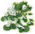 Framendino, 36 Pack Artificial Mini Duckweed with Root Plastic Floating Fish Plants for Aquarium Fish Tank Decor by Framendino
