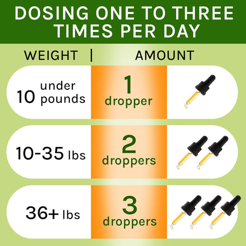 Kennel Cough Herbal Drops for Dogs & Cats, Cough Relief and Throat Soother, Made in US, 2 Fl Oz