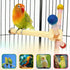 360 Finches Bird Stand Perch Toy, Bird Perch Parrot Toy Interactive Rotating Perch with Parrot Perch Paw Grinding Stick