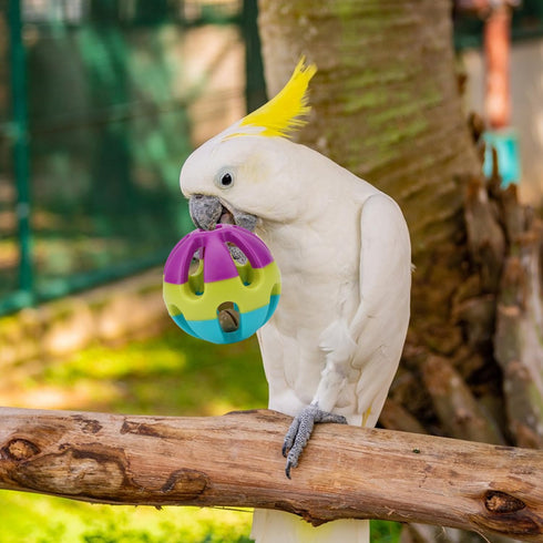 Hypeety Pet Parrot Toy - Colorful Plastic Birds Ball with Bell for Budgie, Cockatoo, Rabbit, Cat (1PC Color Random)