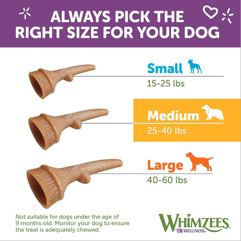 WHIMZEES by Wellness Natural Dental Chews for Medium Dogs, Long Lasting Treats, Grain-Free, 12 Count