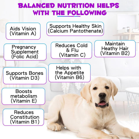 Oimmal 15 1 Immunity, 2 oz in Dog Multivitamin, All-in-One Multi Liquid Multivitamin for Dogs, Dog Vitamins